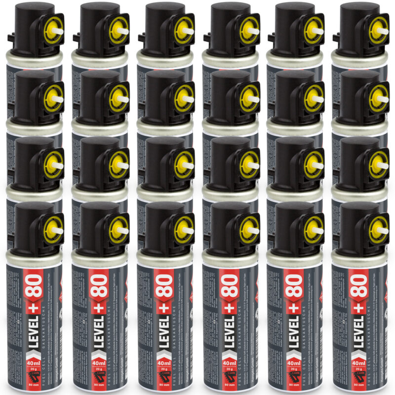 10x Gaskartuschen Für Gasnagler - RM80 Ganzjahresgas 80mm/40ml/20g