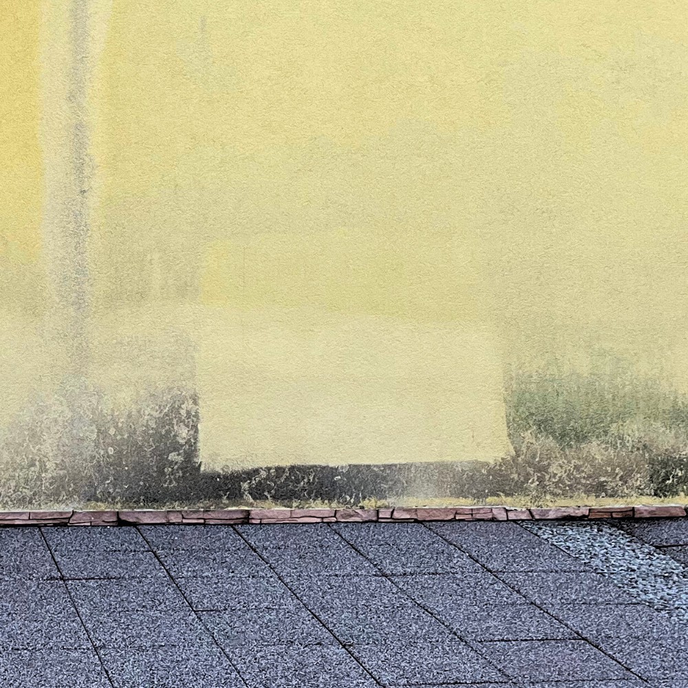 Fassadenreiniger 1kg Algen Moos Pilze Entferner Sofort Wirkend Konzentrat L+72 – Bild 6